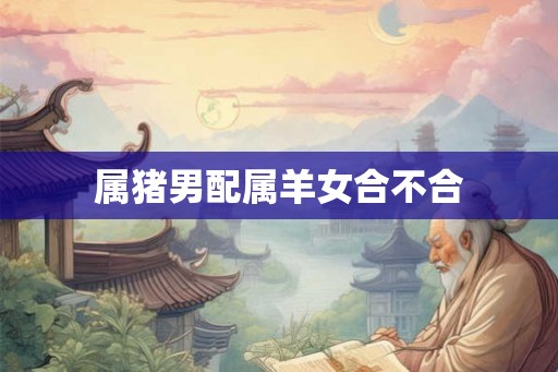 属猪男配属羊女合不合