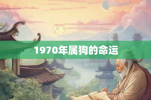 1970年属狗的命运