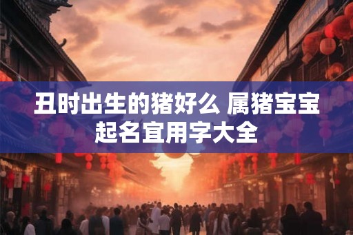丑时出生的猪好么 属猪宝宝起名宜用字大全