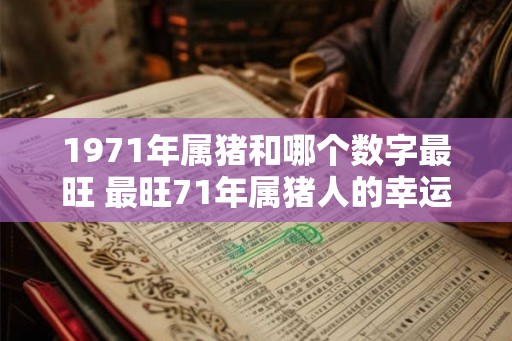 1971年属猪和哪个数字最旺 最旺71年属猪人的幸运数字