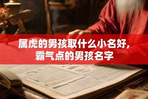 属虎的男孩取什么小名好,霸气点的男孩名字