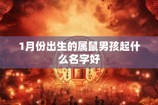 1月份出生的属鼠男孩起什么名字好
