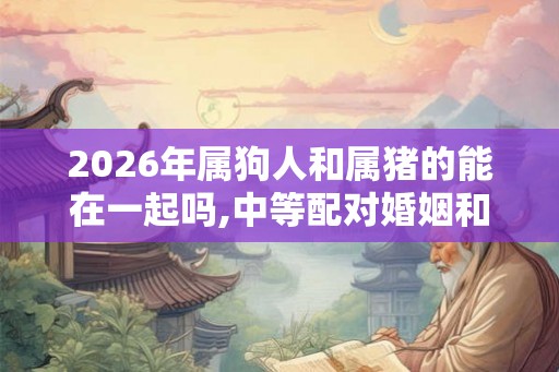 2026年属狗人和属猪的能在一起吗,中等配对婚姻和谐