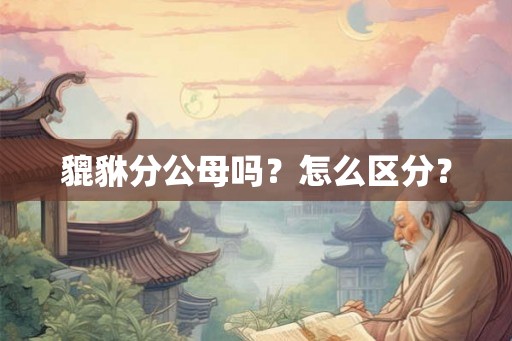 貔貅分公母吗？怎么区分？