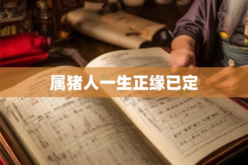 属猪人一生正缘已定
