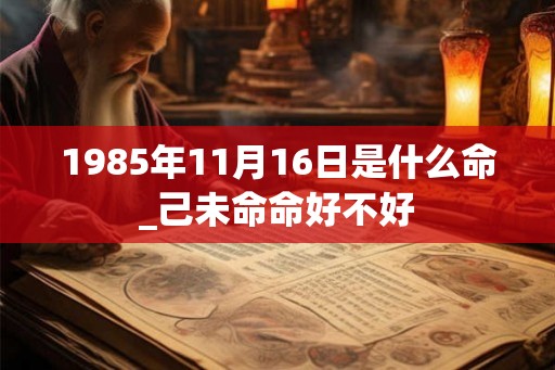1985年11月16日是什么命_己未命命好不好