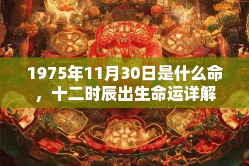 1975年11月30日是什么命，十二时辰出生命运详解