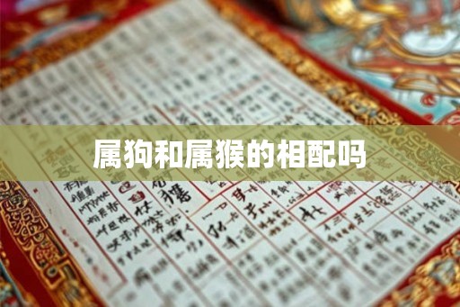 属狗和属猴的相配吗