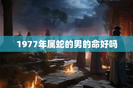 1977年属蛇的男的命好吗
