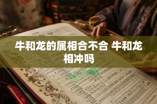牛和龙的属相合不合 牛和龙相冲吗