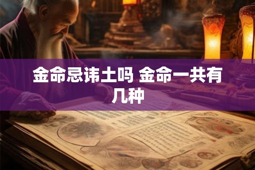 金命忌讳土吗 金命一共有几种 金命忌讳土吗 金命一共有几种