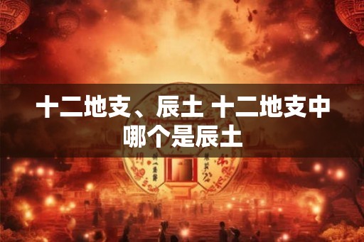 十二地支、辰土 十二地支中哪个是辰土