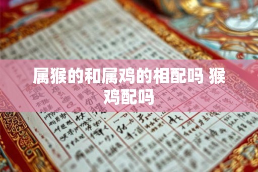属猴的和属鸡的相配吗 猴鸡配吗