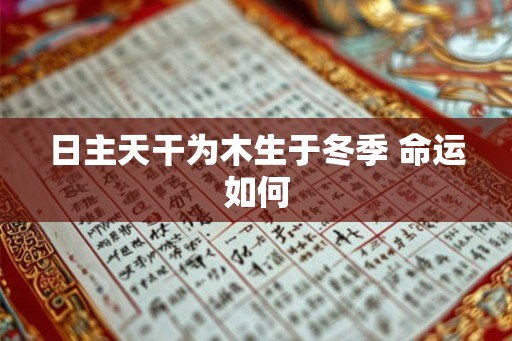 日主天干为木生于冬季 命运如何
