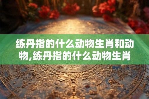 练丹指的什么动物生肖和动物,练丹指的什么动物生肖和动物有关