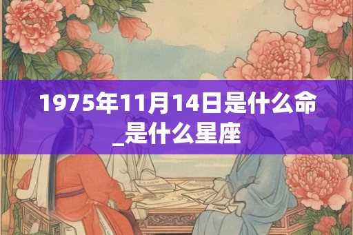 1975年11月14日是什么命_是什么星座