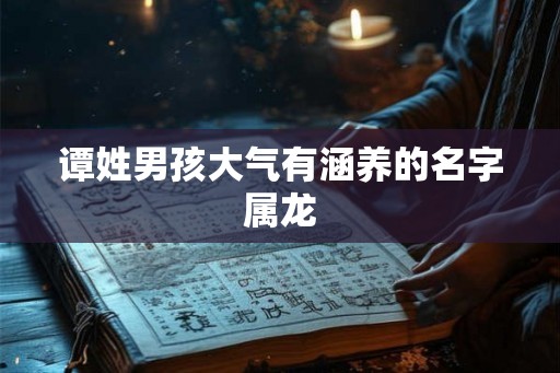 谭姓男孩大气有涵养的名字属龙