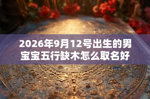 2026年9月12号出生的男宝宝五行缺木怎么取名好