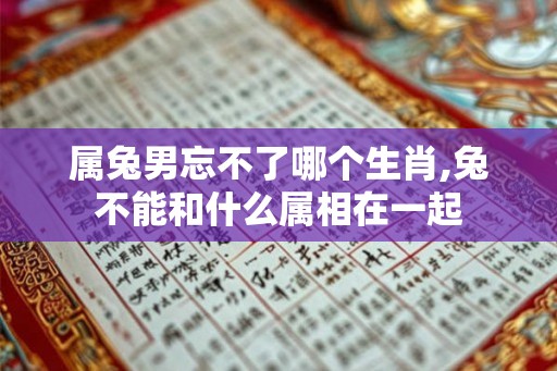 属兔男忘不了哪个生肖,兔不能和什么属相在一起