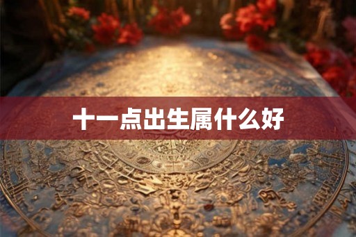 十一点出生属什么好