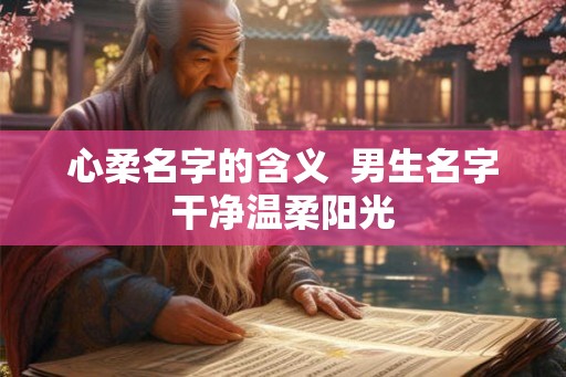 心柔名字的含义  男生名字干净温柔阳光