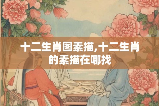 十二生肖图素描,十二生肖的素描在哪找