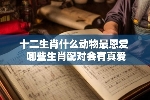 十二生肖什么动物最恩爱  哪些生肖配对会有真爱
