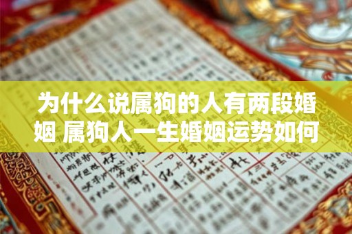 为什么说属狗的人有两段婚姻 属狗人一生婚姻运势如何 为什么说属狗的人有两段婚姻 属狗人一生婚姻运势如何