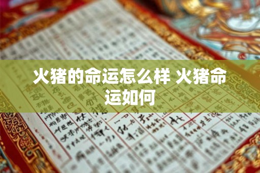 火猪的命运怎么样 火猪命运如何 火猪的命运怎么样 火猪命运如何