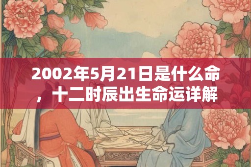 2002年5月21日是什么命，十二时辰出生命运详解