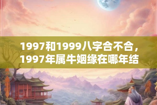 1997和1999八字合不合,1997年属牛姻缘在哪年结婚 1997和1999八字合不合,1997年属牛姻缘在哪年结婚