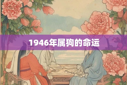 1946年属狗的命运