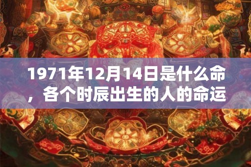 1971年12月14日是什么命，各个时辰出生的人的命运