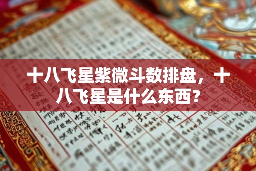 十八飞星紫微斗数排盘，十八飞星是什么东西？