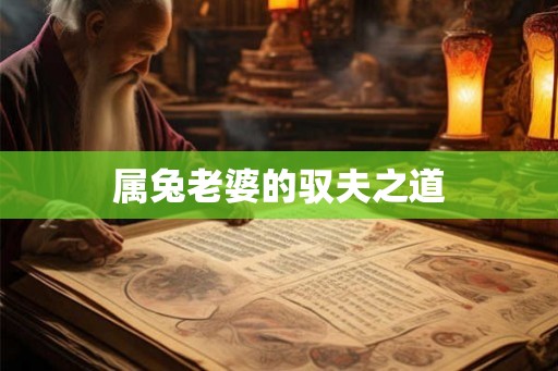 属兔老婆的驭夫之道