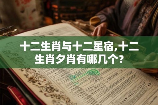十二生肖与十二星宿,十二生肖夕肖有哪几个？
