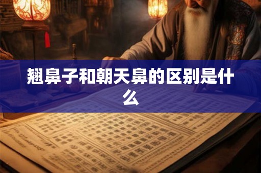 翘鼻子和朝天鼻的区别是什么