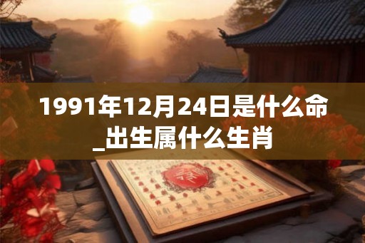 1991年12月24日是什么命_出生属什么生肖