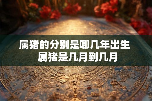 属猪的分别是哪几年出生  属猪是几月到几月