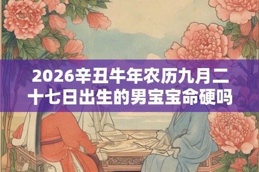 2026辛丑牛年农历九月二十七日出生的男宝宝命硬吗? 2026辛丑牛年农历九月二十七日出生的男宝宝命硬吗?
