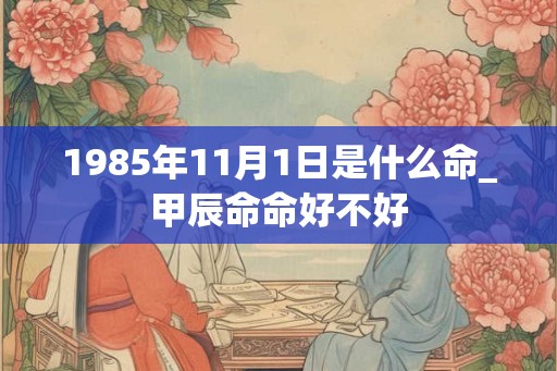 1985年11月1日是什么命_甲辰命命好不好
