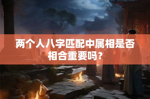 两个人八字匹配中属相是否相合重要吗？