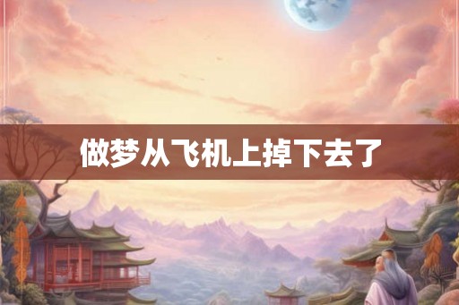 做梦从飞机上掉下去了