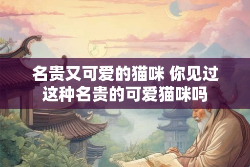 名贵又可爱的猫咪 你见过这种名贵的可爱猫咪吗