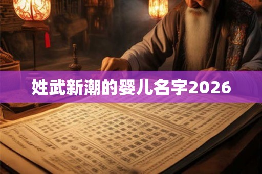 姓武新潮的婴儿名字2026