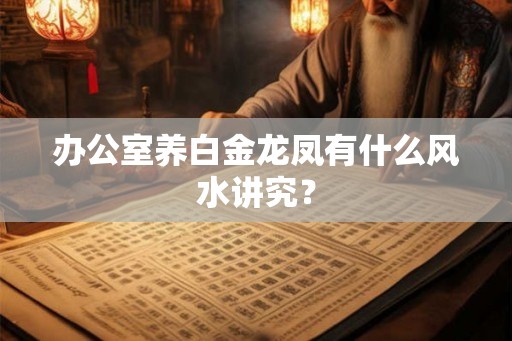 办公室养白金龙凤有什么风水讲究？