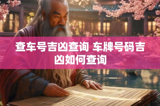 查车号吉凶查询 车牌号码吉凶如何查询