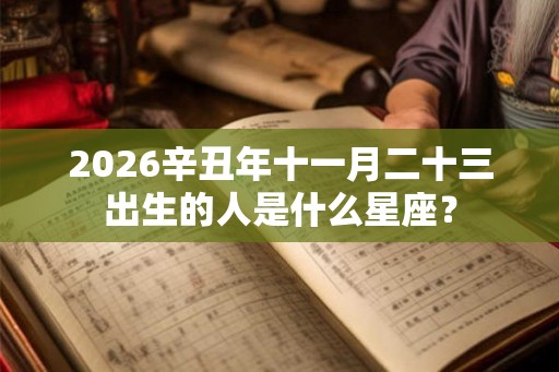 2026辛丑年十一月二十三出生的人是什么星座？