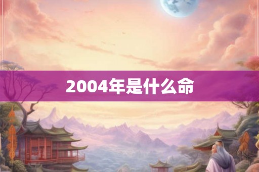 2004年是什么命 2004年是什么命