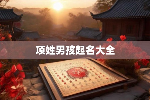 项姓男孩起名大全